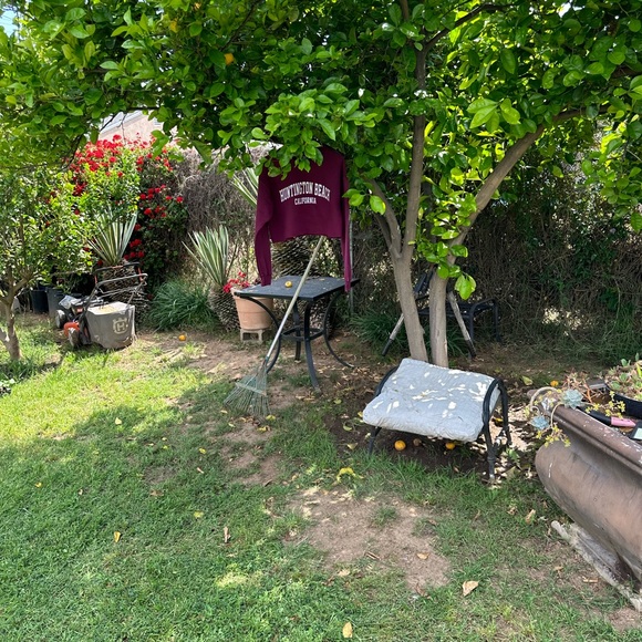 MV Sport Sweaters Huntington Beach Sweater Poshmark